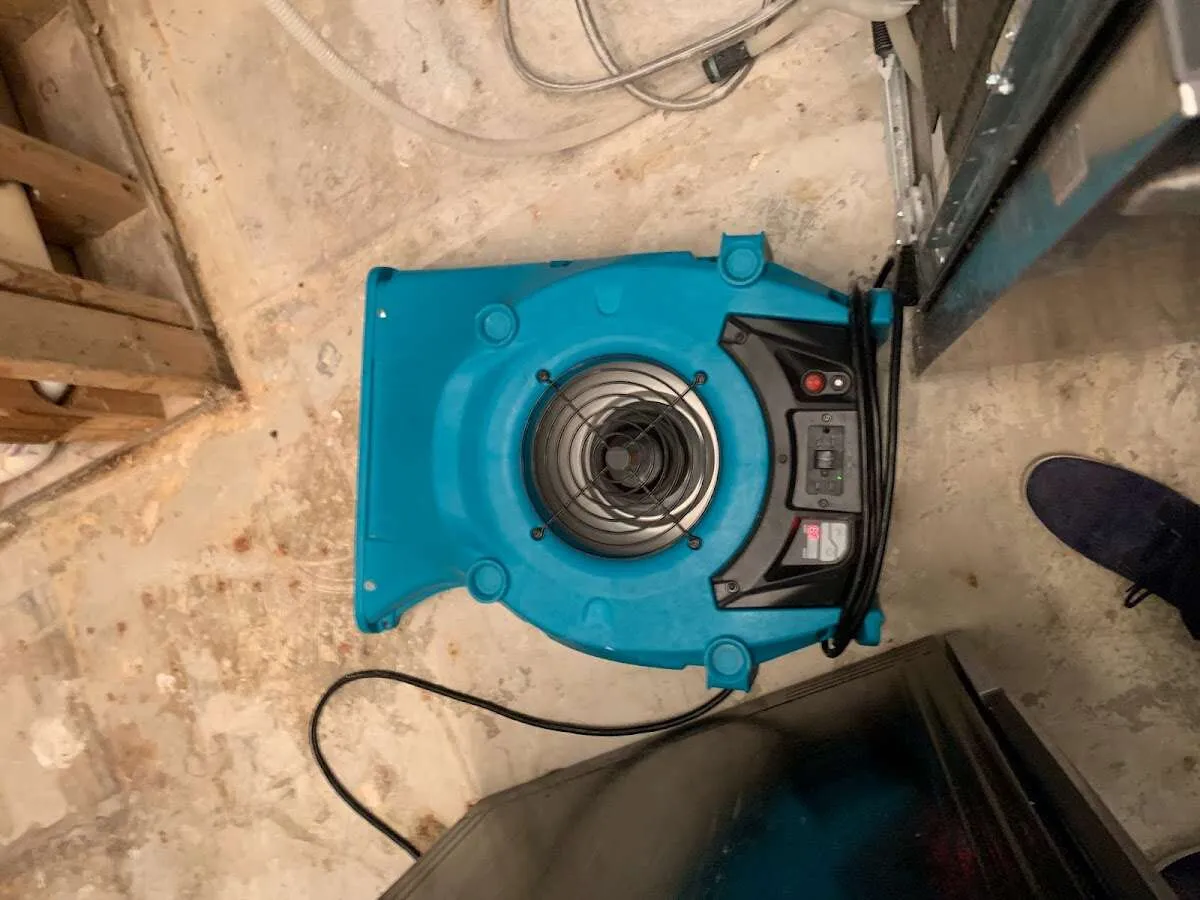 Air mover drying equipment for Mold Remediation & Removal in Grand Rapids